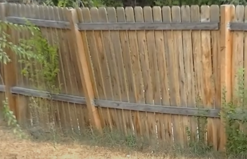 Backyard Fence Posts